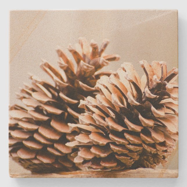 Pine Cones Rustic Country Sandstone Coaster (Front)