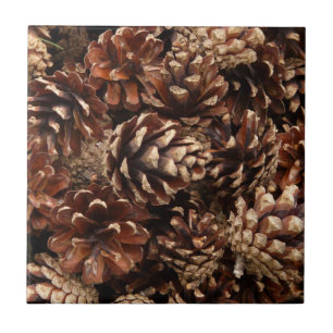 Pine Cones Tile