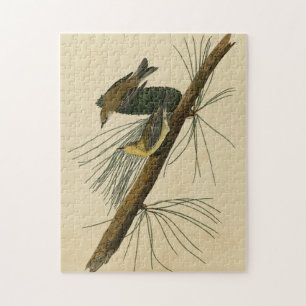 Pine Creeping Warbler - Audubon's Birds of America Jigsaw Puzzle