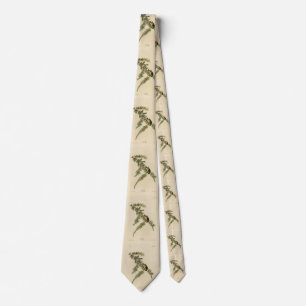 Pine Finch (Pine Siskin), Audubon Birds of America Tie