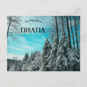 Pine Forest Covered In Snow Platak Croatia Postcard