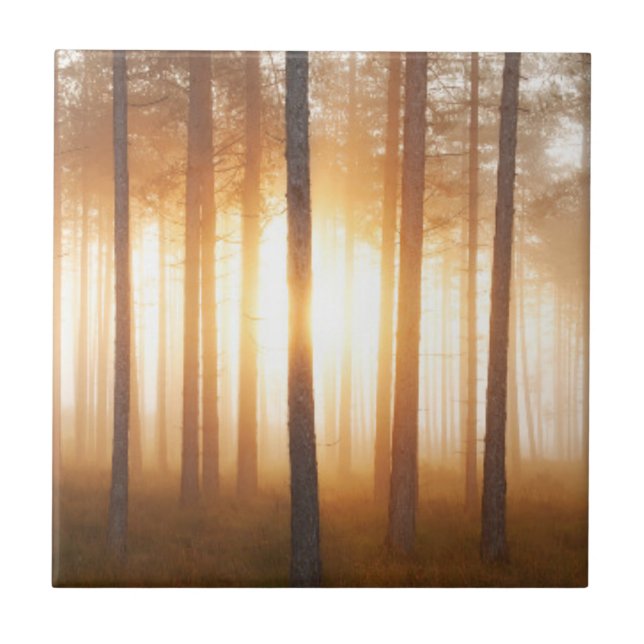 Pine Forest Landscape Tile (Front)