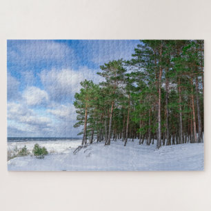 Pine forest near sea coast in Latvia Jigsaw Puzzle