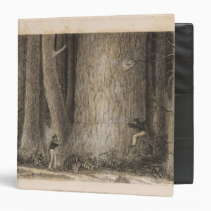 Pine Forest, Oregon Binder