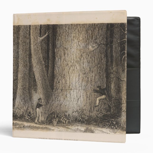 Pine Forest, Oregon Binder (Front/Inside)