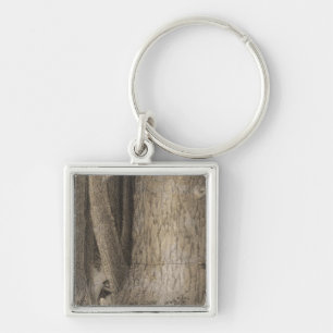 Pine Forest, Oregon Keychain