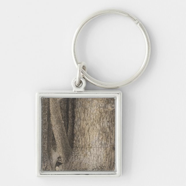 Pine Forest, Oregon Keychain (Front)