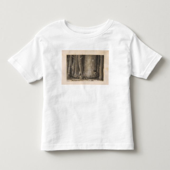 Pine Forest, Oregon Toddler T-shirt (Front)
