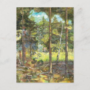 Pine forest postcard
