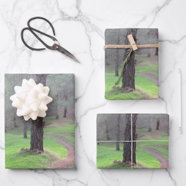 Pine Forest Road Wrapping Paper Sheet (Front)