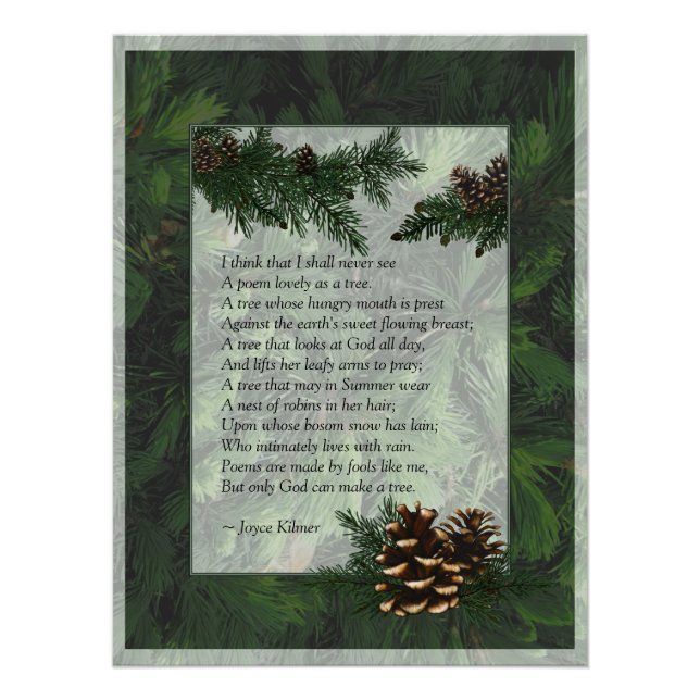 Pine Forest Trees Poster Print (Front)