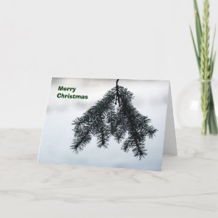 Pine-in-snow card