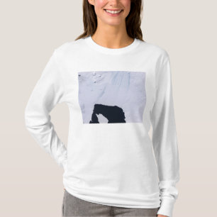Pine Island Glacier T-Shirt