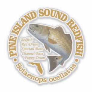 Pine Island Sound (redfish)