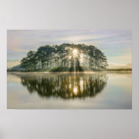 Pine Island Sunray