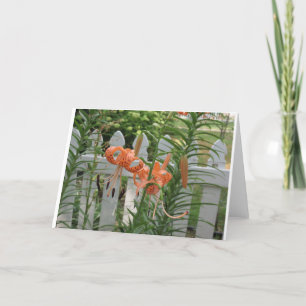 Pine Lake Lilies Card