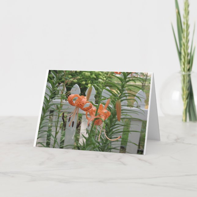 Pine Lake Lilies Card (Front)