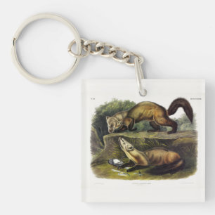 Pine Marten (Mustela Martes) American Marten Keychain