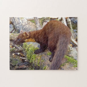 Pine Marten on Log editable Jigsaw Puzzle