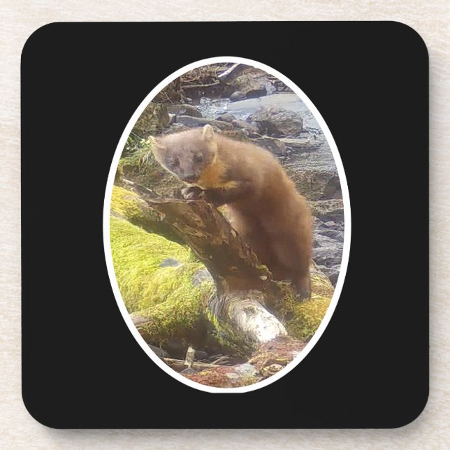 Pine Marten on Log Hard Plastic 6 Coaster Set (Front)