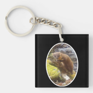 Pine Marten on Log Keychain