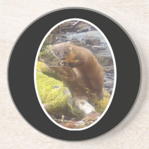 Pine Marten on Log Paper Sandstone Coaster
