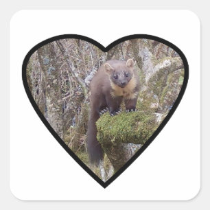 Pine Marten on Log  Square Sticker