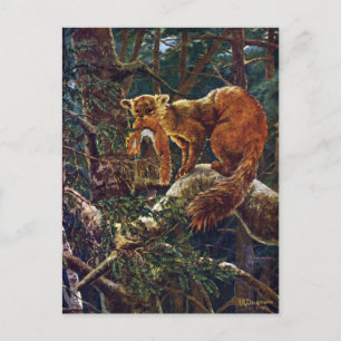 Pine Marten with Prey Postcard