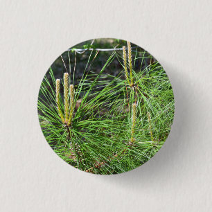 Pine Needles by Kenneth Yoncich 1 Inch Round Button