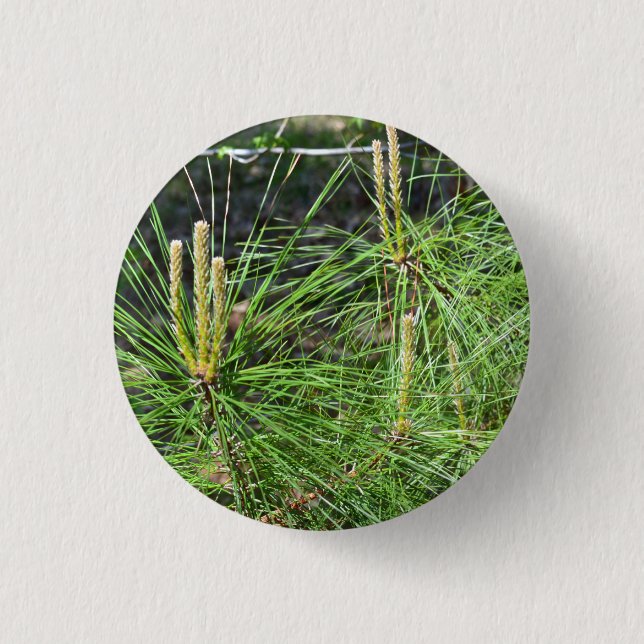Pine Needles by Kenneth Yoncich 1 Inch Round Button (Front)