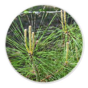 Pine Needles by Kenneth Yoncich Ceramic Knob