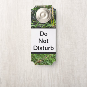 Pine Needles by Kenneth Yoncich Door Hanger