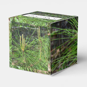 Pine Needles by Kenneth Yoncich Favor Box