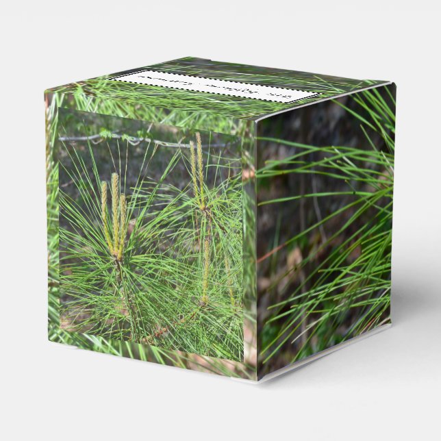 Pine Needles by Kenneth Yoncich Favor Box (Back Side)