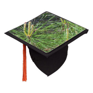 Pine Needles by Kenneth Yoncich Graduation Cap Topper