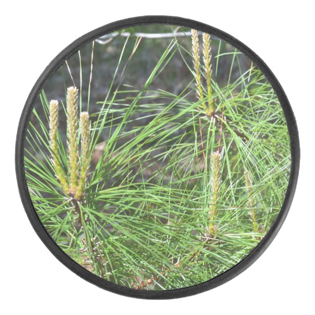 Pine Needles by Kenneth Yoncich Hockey Puck (Front)