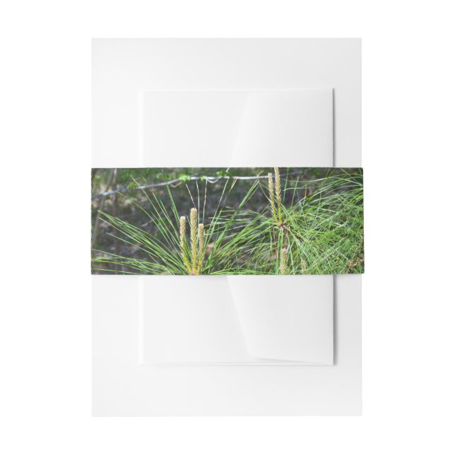 Pine Needles by Kenneth Yoncich Invitation Belly Band (Front Example)