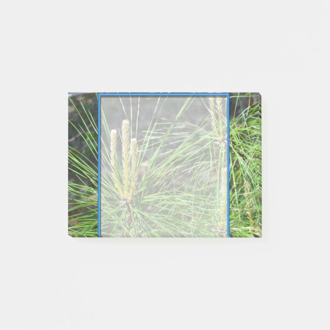 Pine Needles by Kenneth Yoncich Post-it Notes (Front)