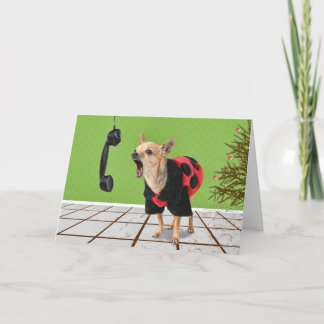 pine needles holiday card