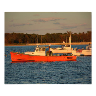 Pine Point  24" x 20" Photo Enlargement Print
