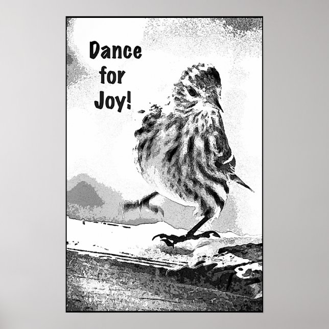 Pine Siskin Poster (Front)