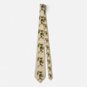 Pine Swamp Warbler from Audubon's Birds of America Tie