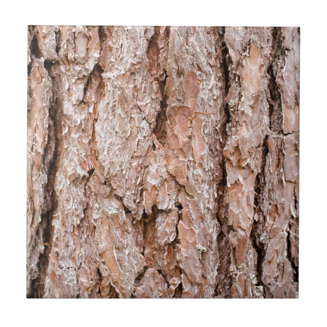 Pine tree bark tile (Front)
