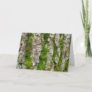 Pine Tree Bark With Moss Card