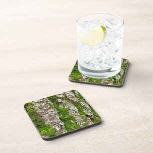 Pine Tree Bark With Moss Coaster