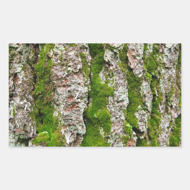 Pine Tree Bark With Moss Sticker (Front)
