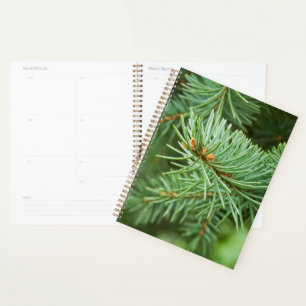 Pine tree closeup planner