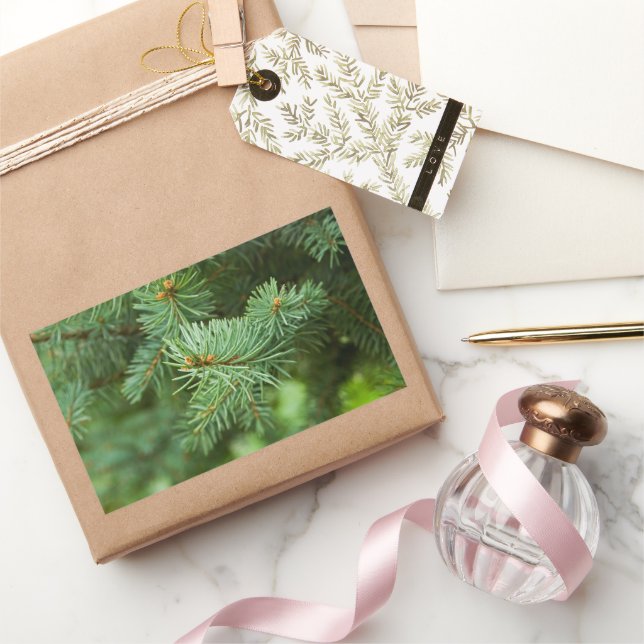 Pine tree closeup sticker (Gifting)
