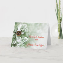 Pine tree covered with snow