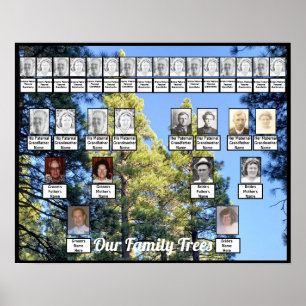 Pine Tree Forest Photo Two Family Trees Poster